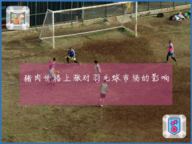 猪肉价格上涨对羽毛球市场的影响