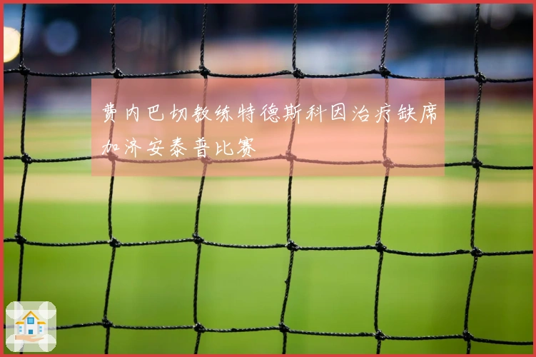 费内巴切教练特德斯科因治疗缺席加济安泰普比赛