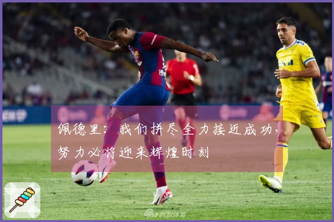 佩德里：我们拼尽全力接近成功，努力必将迎来辉煌时刻