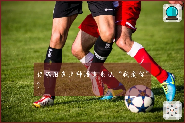 你能用多少种语言表达“我爱你”？