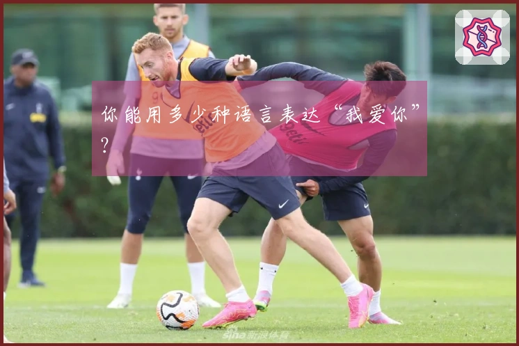 你能用多少种语言表达“我爱你”？